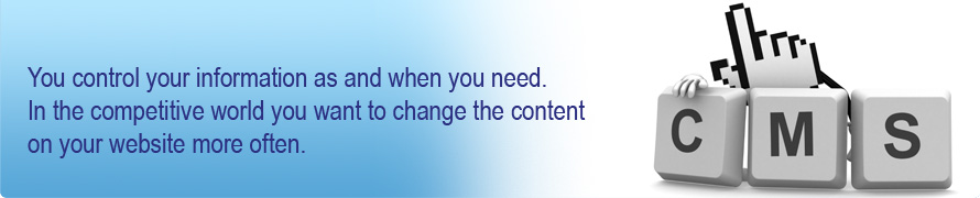 Content Management System